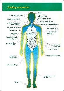 Smoking affects every part of the body